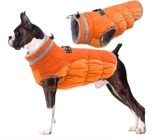 Seasonal Apparel