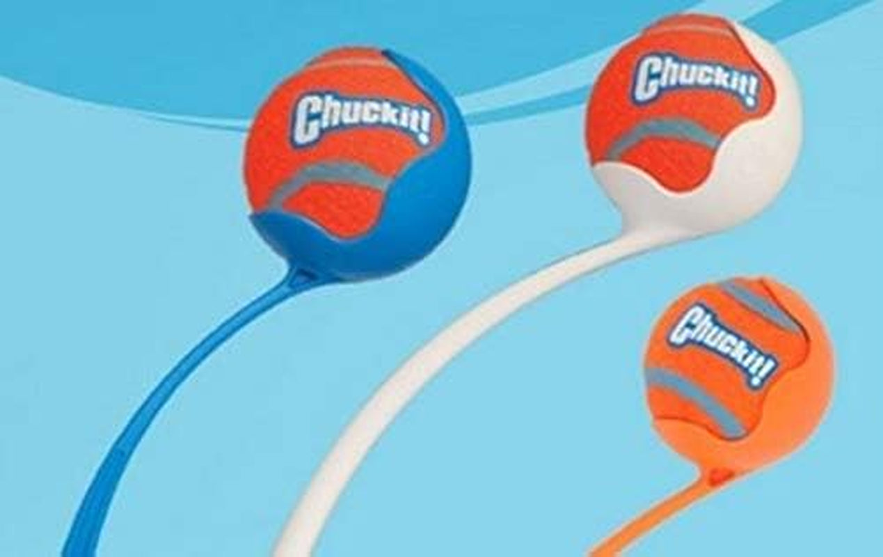 Large Tennis Ball 3 Inch, 2-Pack Shrink Sleeve Package