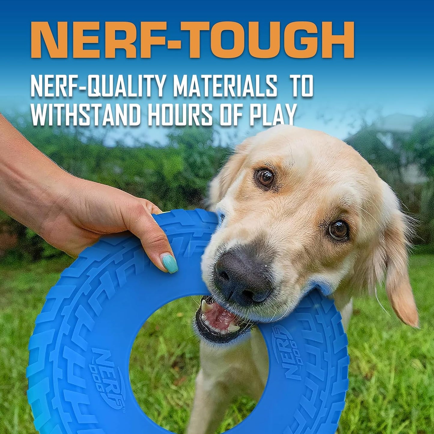 Rubber Tire Flyer Dog Toy, Frisbee, Lightweight, Great for Beach and Pool, 10 Inch Diameter, for Medium/Large Breeds, Single Unit, Blue