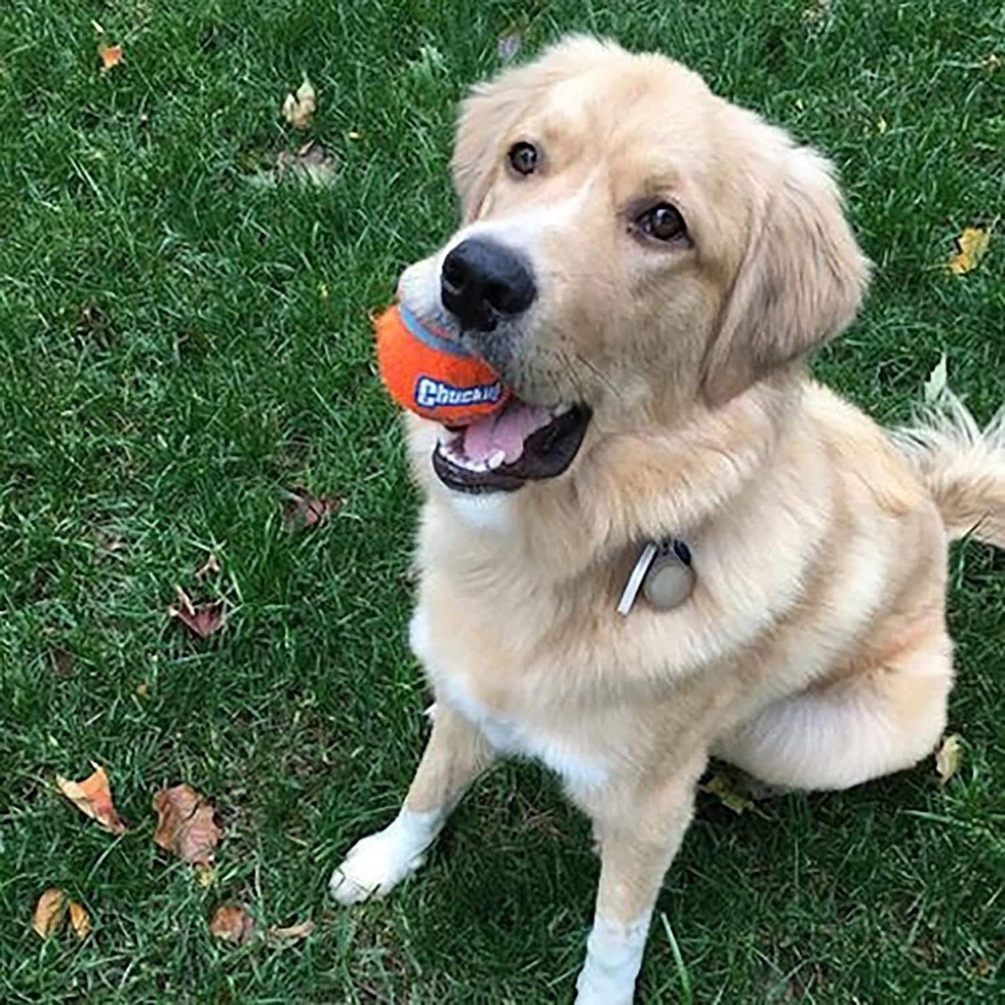 Tennis Balls, Medium, 4 Balls