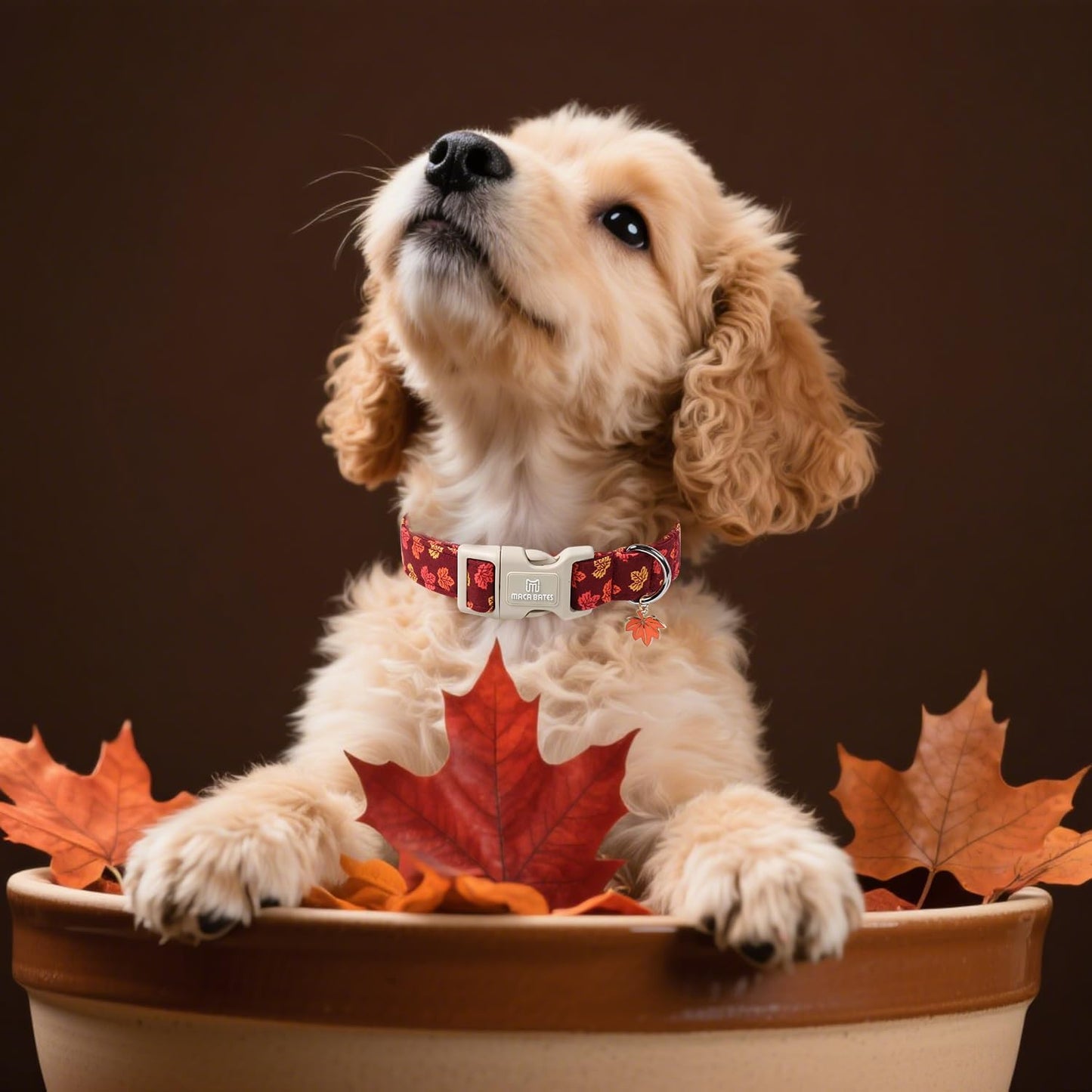 Maca Bates Fall Basic Dog Collar with Maple Leaf Charm for Medium Boy,Girl,Autumn Red Foliage Puppy Collars,Adjustable Durable Soft Comfortable for Male Female Dogs with Safety Buckle