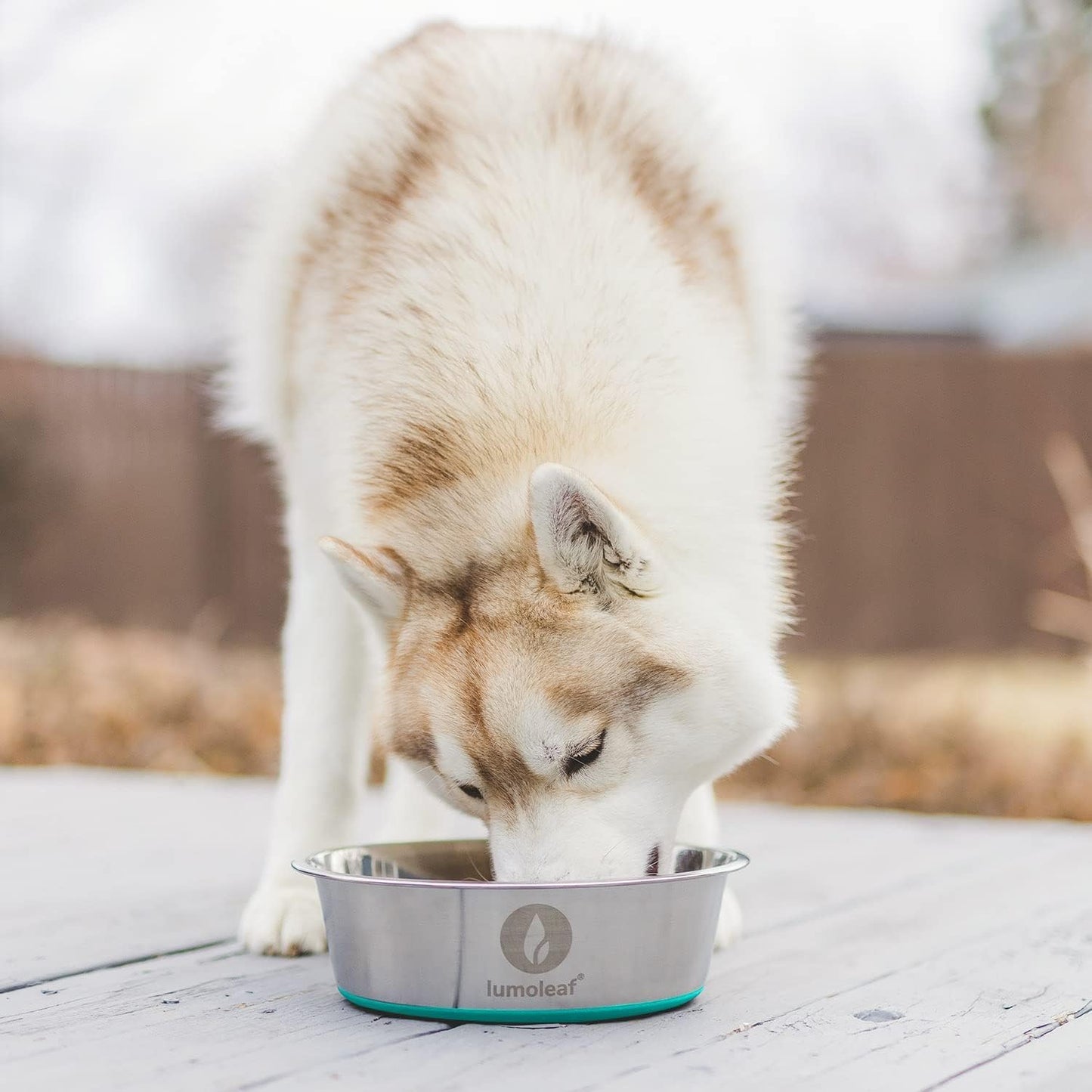 Stainless Steel Dog Bowls (2 Pack 1750Ml), Large Food and Water Bowl with Extra Large Capacity, Non-Slip Silicone Base, Dishwasher Safe Pet Feeding Dishes for Medium & Large Dogs