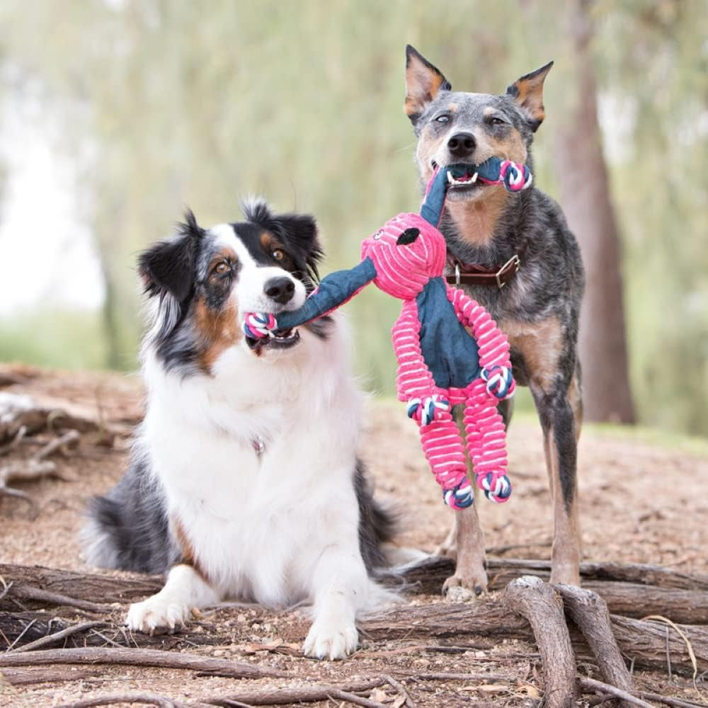 Company 38740206: Floppy Knots Bunny Dog Toy, M/L