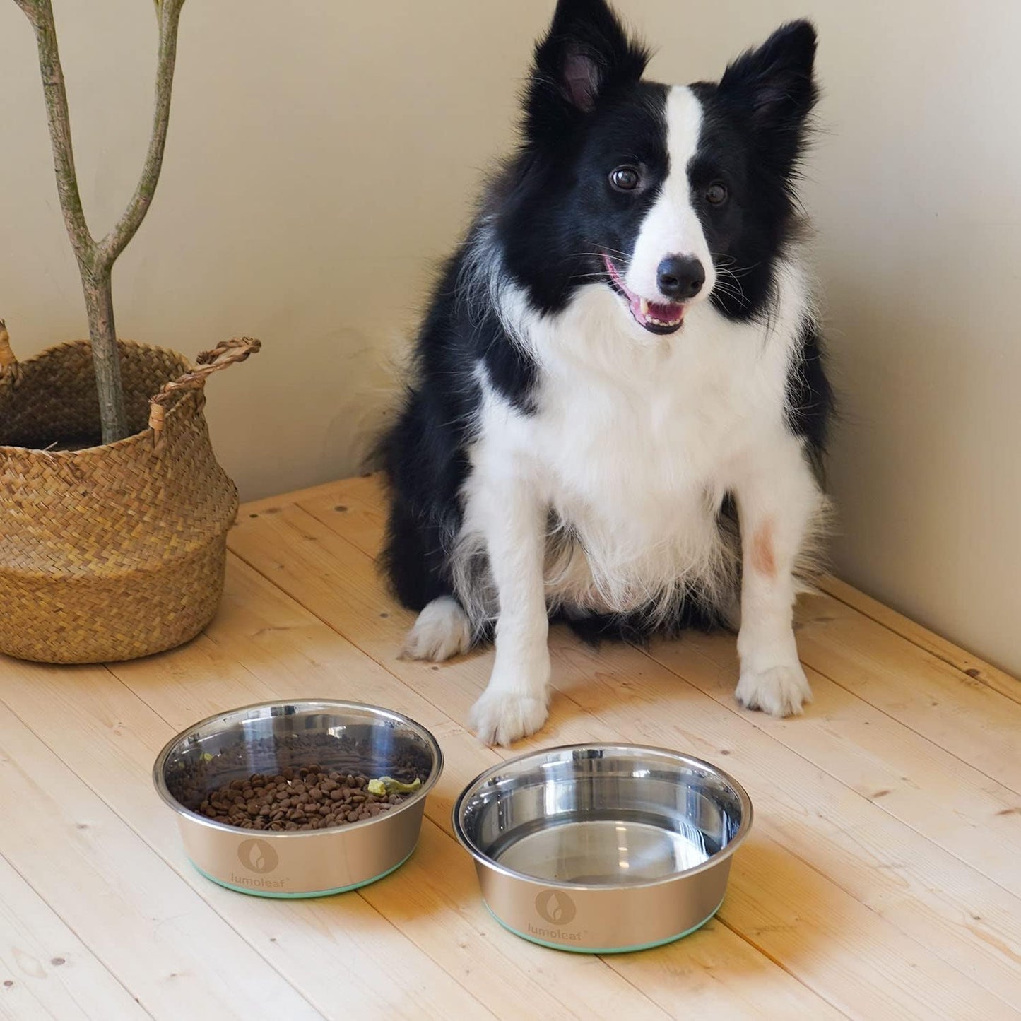 Stainless Steel Dog Bowls (2 Pack 1750Ml), Large Food and Water Bowl with Extra Large Capacity, Non-Slip Silicone Base, Dishwasher Safe Pet Feeding Dishes for Medium & Large Dogs