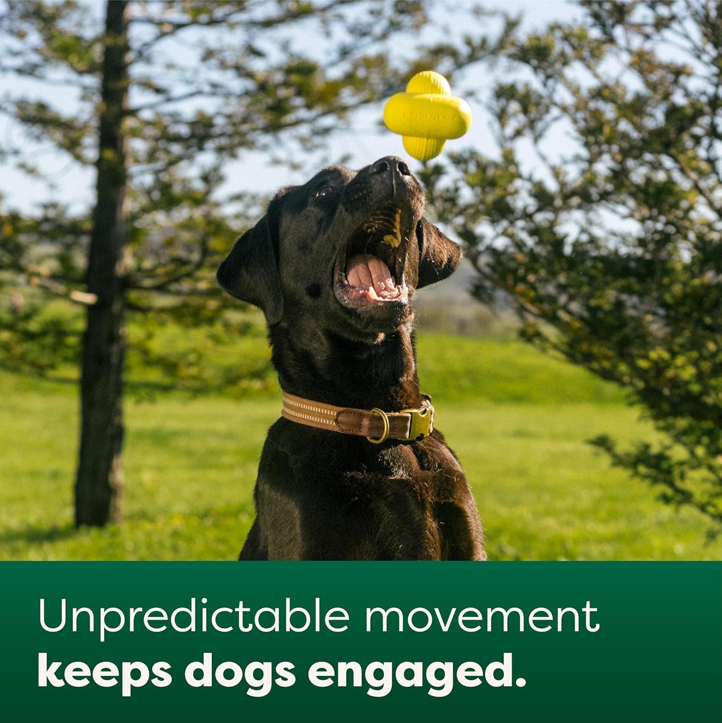 Dog and Puppy Ball, Interactive Fetch Toy for Small, Medium, and Large Breeds, Comes in Multiple Sizes, Made with Natural Rubber, Perfect for Indoor and Outdoor Use, Large, Yellow