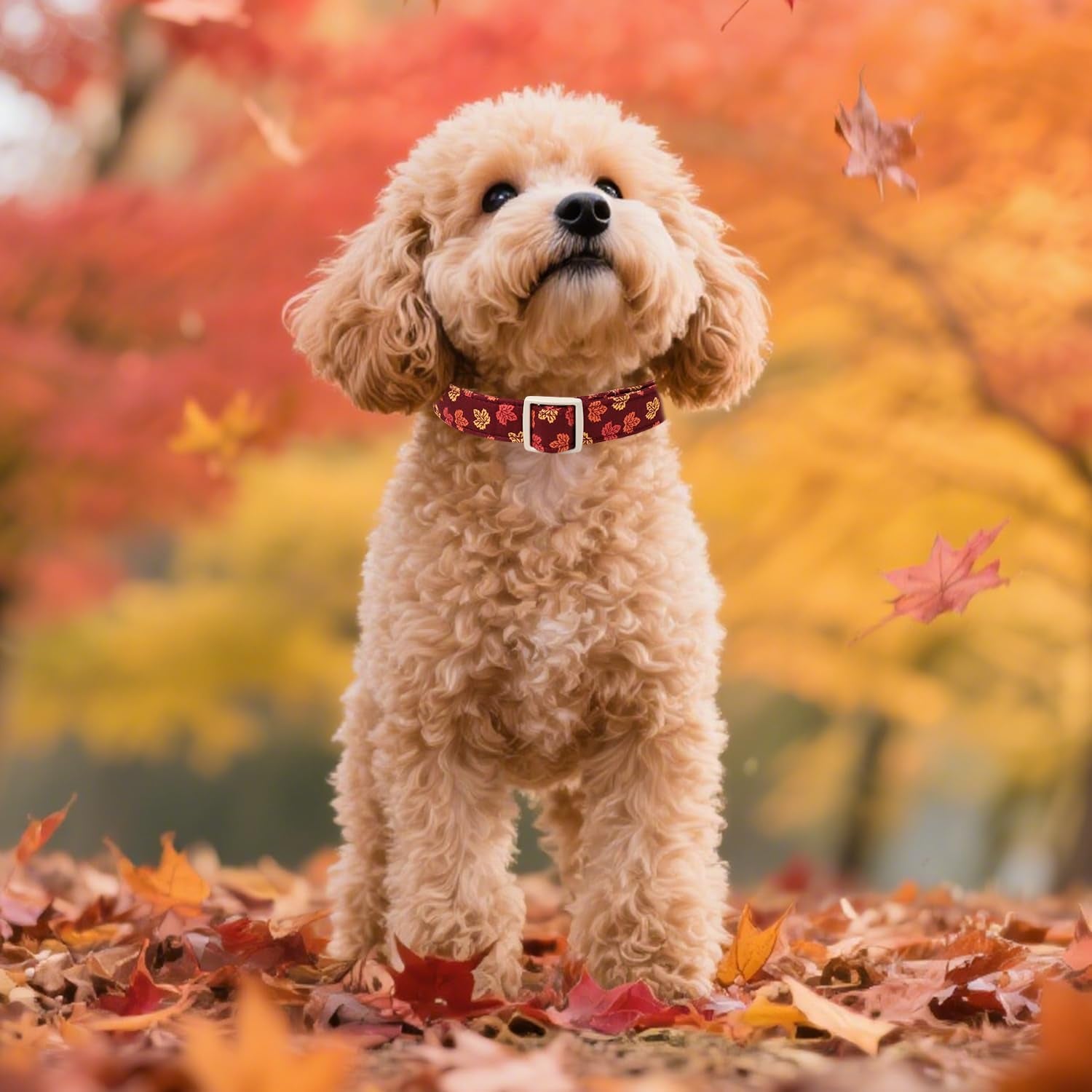 Maca Bates Fall Basic Dog Collar with Maple Leaf Charm for Medium Boy,Girl,Autumn Red Foliage Puppy Collars,Adjustable Durable Soft Comfortable for Male Female Dogs with Safety Buckle