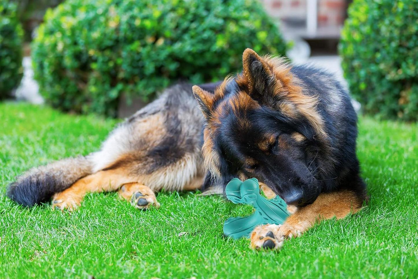 Dog Chew Toys for Aggressive Chewers Large Breed,Indestructible Bones Toy,Durable Cleaning Toothbrush Natural Rubber Dog Toys