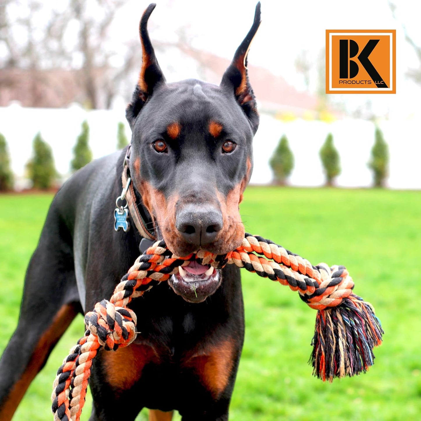 Tough Dog Rope Chew Toys for Medium and Large Dogs – Heavy-Duty, Interactive Dog Toys for Boredom Relief, Dental Care, and Training