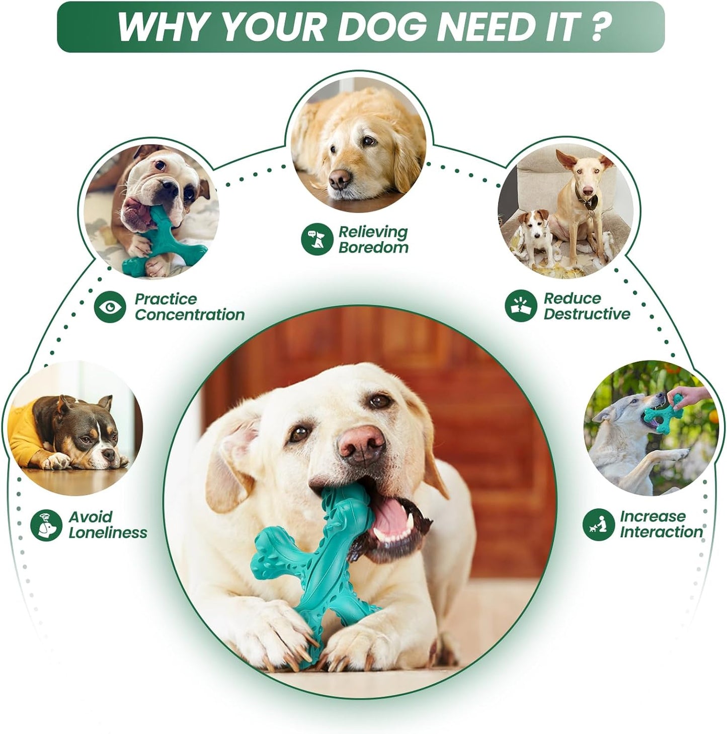Dog Chew Toys for Aggressive Chewers Large Breed,Indestructible Bones Toy,Durable Cleaning Toothbrush Natural Rubber Dog Toys