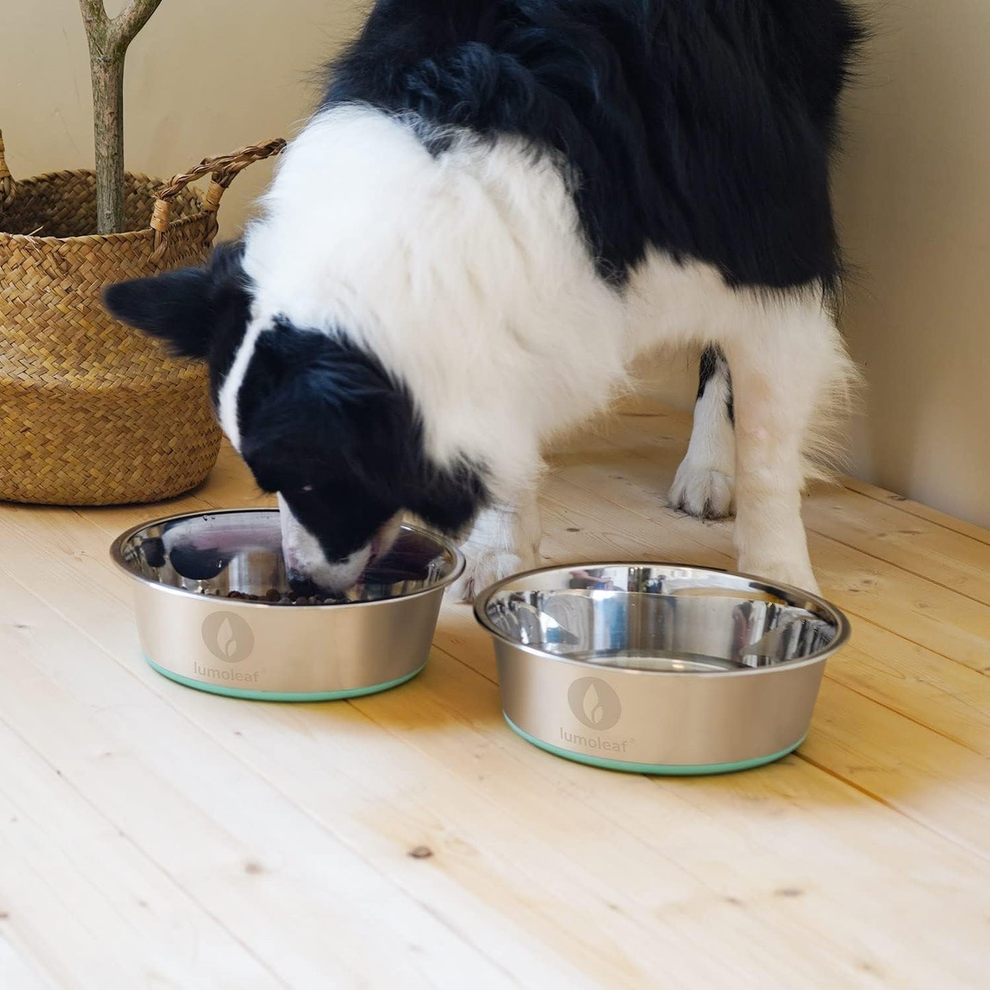 Stainless Steel Dog Bowls (2 Pack 1750Ml), Large Food and Water Bowl with Extra Large Capacity, Non-Slip Silicone Base, Dishwasher Safe Pet Feeding Dishes for Medium & Large Dogs