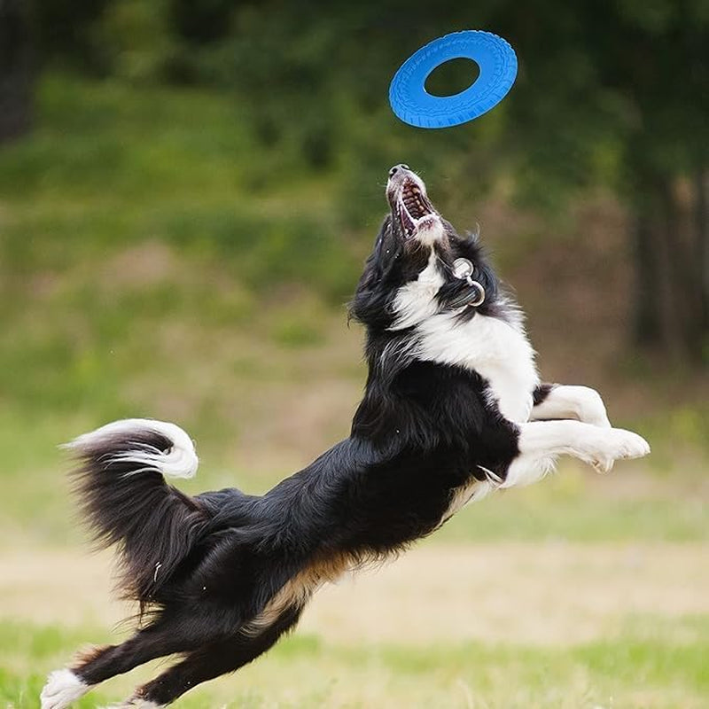 Rubber Tire Flyer Dog Toy, Frisbee, Lightweight, Great for Beach and Pool, 10 Inch Diameter, for Medium/Large Breeds, Single Unit, Blue