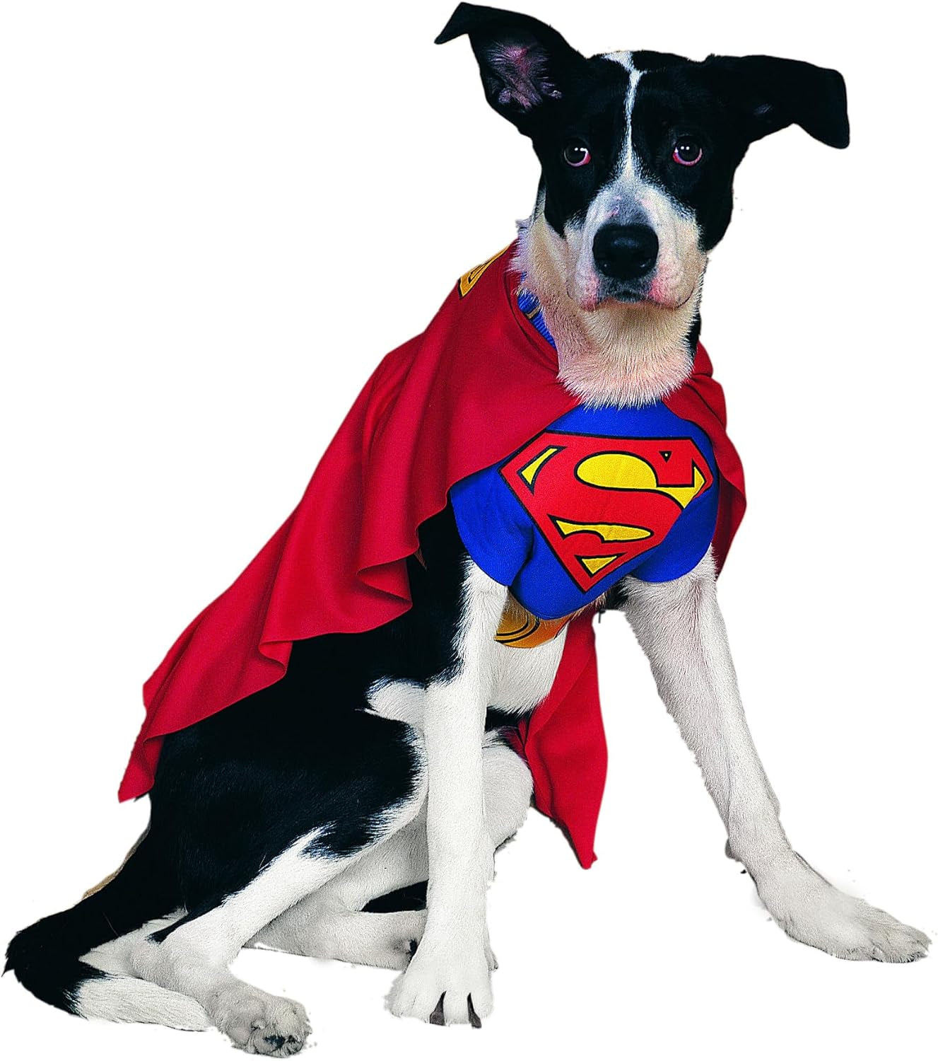 DC Comics Pet Costume, Superman, Large
