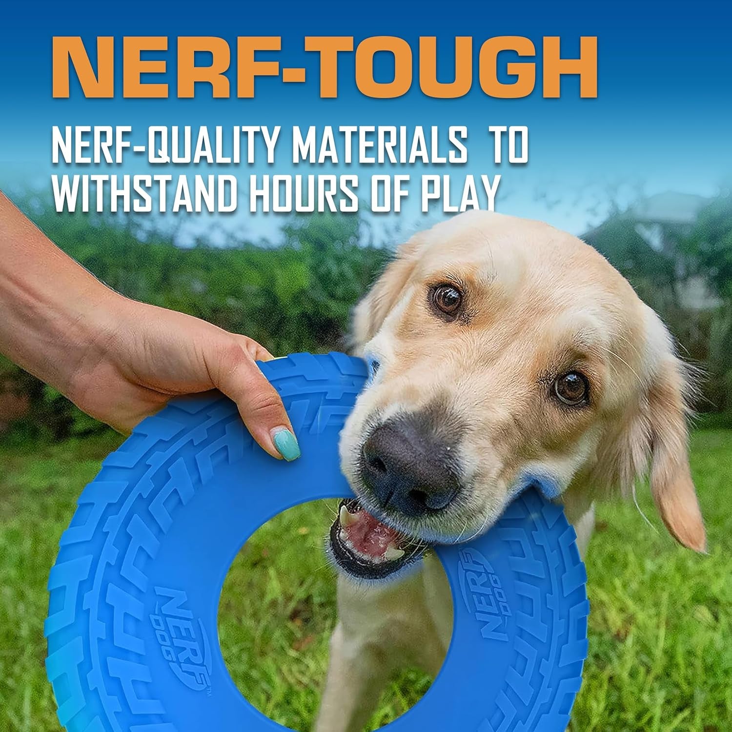 Rubber Tire Flyer Dog Toy, Frisbee, Lightweight, Great for Beach and Pool, 10 Inch Diameter, for Medium/Large Breeds, Single Unit, Blue