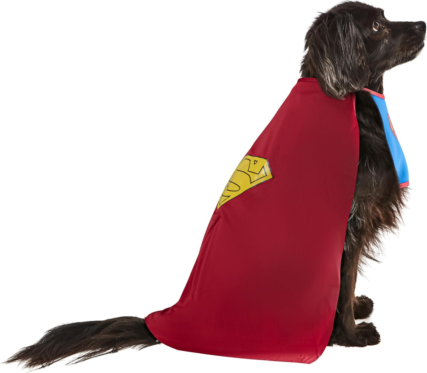 DC Comics Pet Costume, Superman, Large