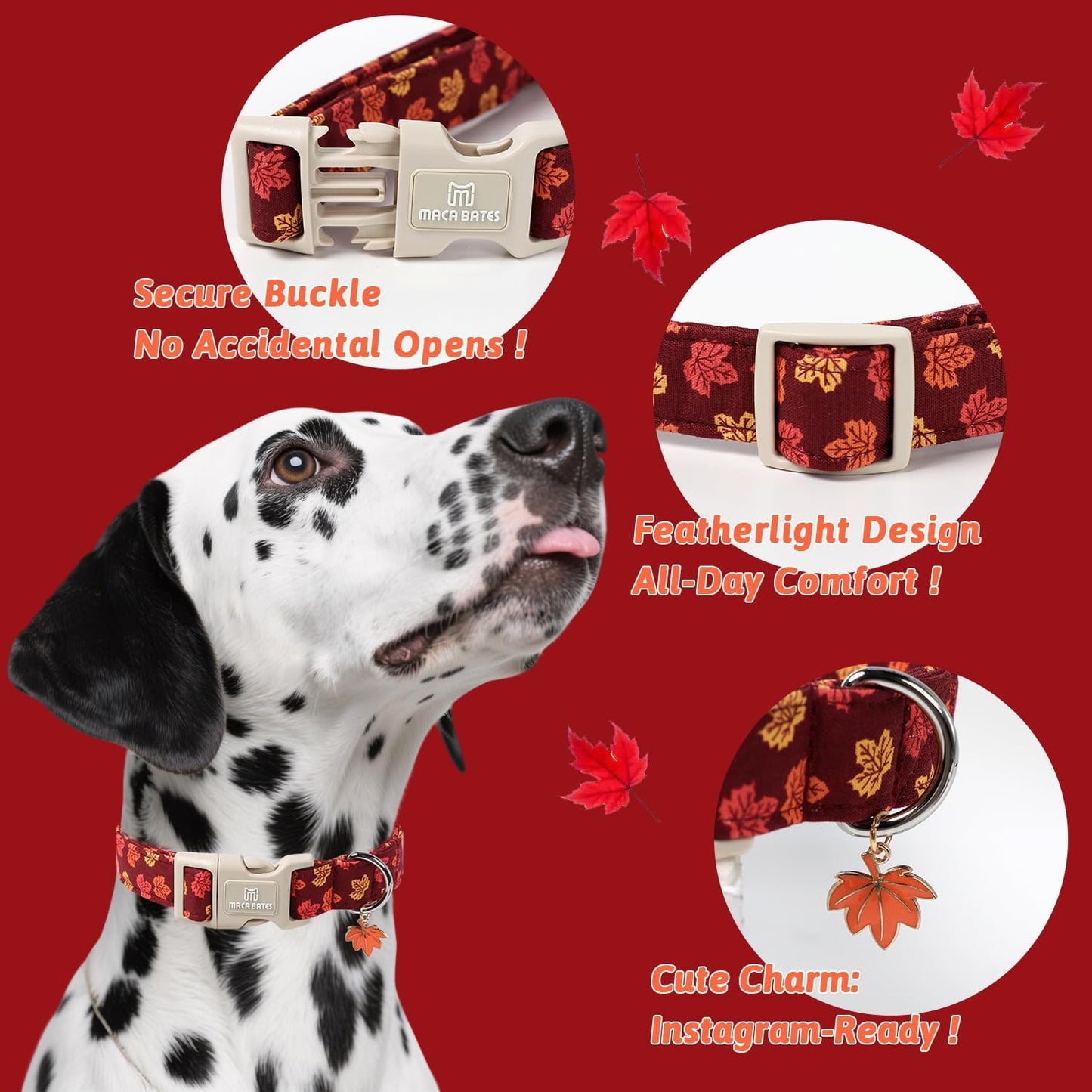 Maca Bates Fall Basic Dog Collar with Maple Leaf Charm for Medium Boy,Girl,Autumn Red Foliage Puppy Collars,Adjustable Durable Soft Comfortable for Male Female Dogs with Safety Buckle