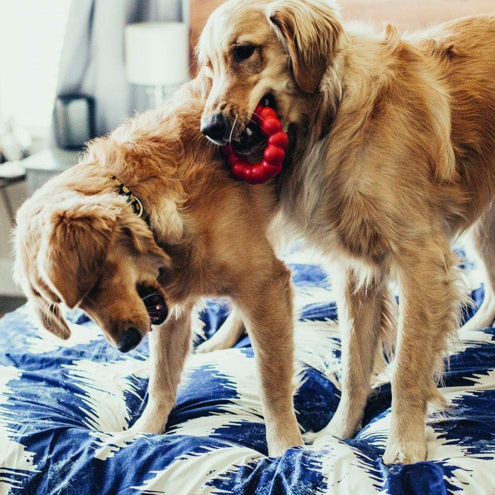 Ring - Durable Rubber Dog Chew Toy - for Small/Medium Dogs