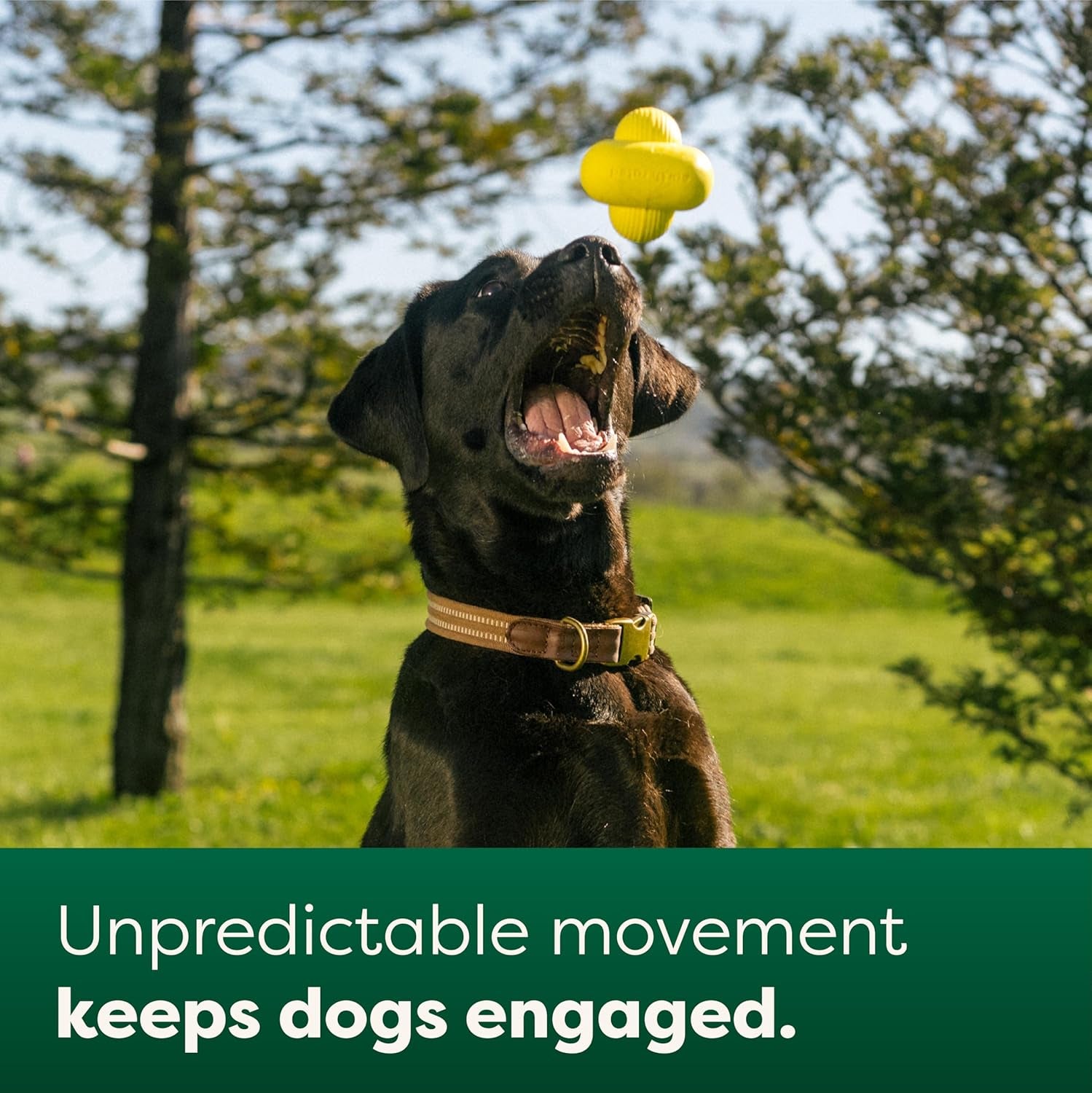 Dog and Puppy Ball, Interactive Fetch Toy for Small, Medium, and Large Breeds, Comes in Multiple Sizes, Made with Natural Rubber, Perfect for Indoor and Outdoor Use, Large, Yellow