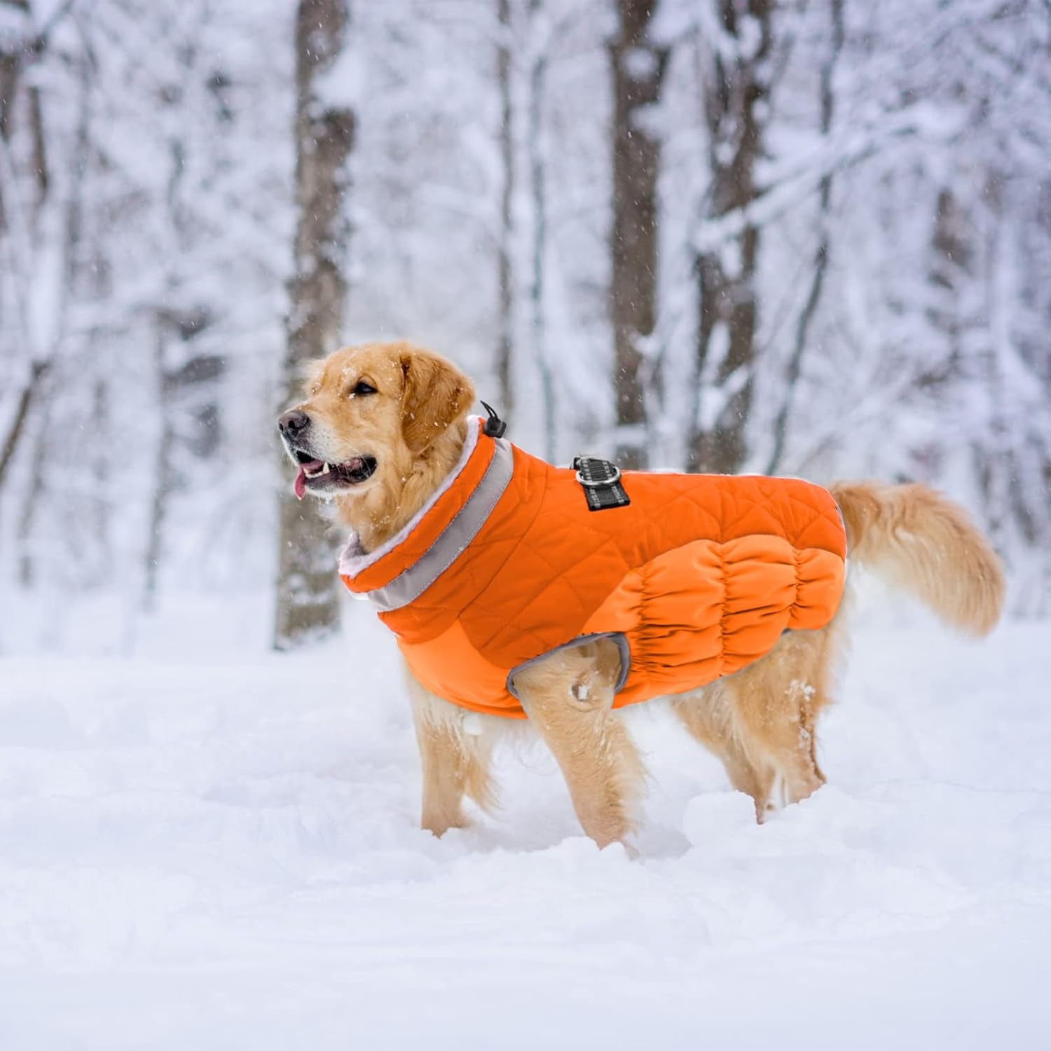 Warm Dog Winter Coat with Harness, Waterproof, Windproof, Reflective, Fleece Vest with Turtleneck & Zipper - Coats for Large Dogs in Cold Weather, Blaze Orange, L