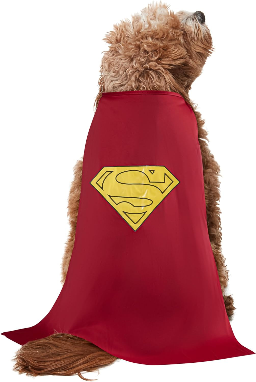DC Comics Pet Costume, Superman, Large